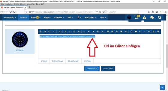 Die Url des Videos im Editor der Community einfügen.