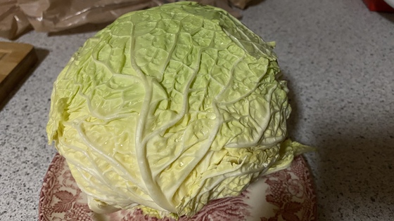 Savoy cabbage