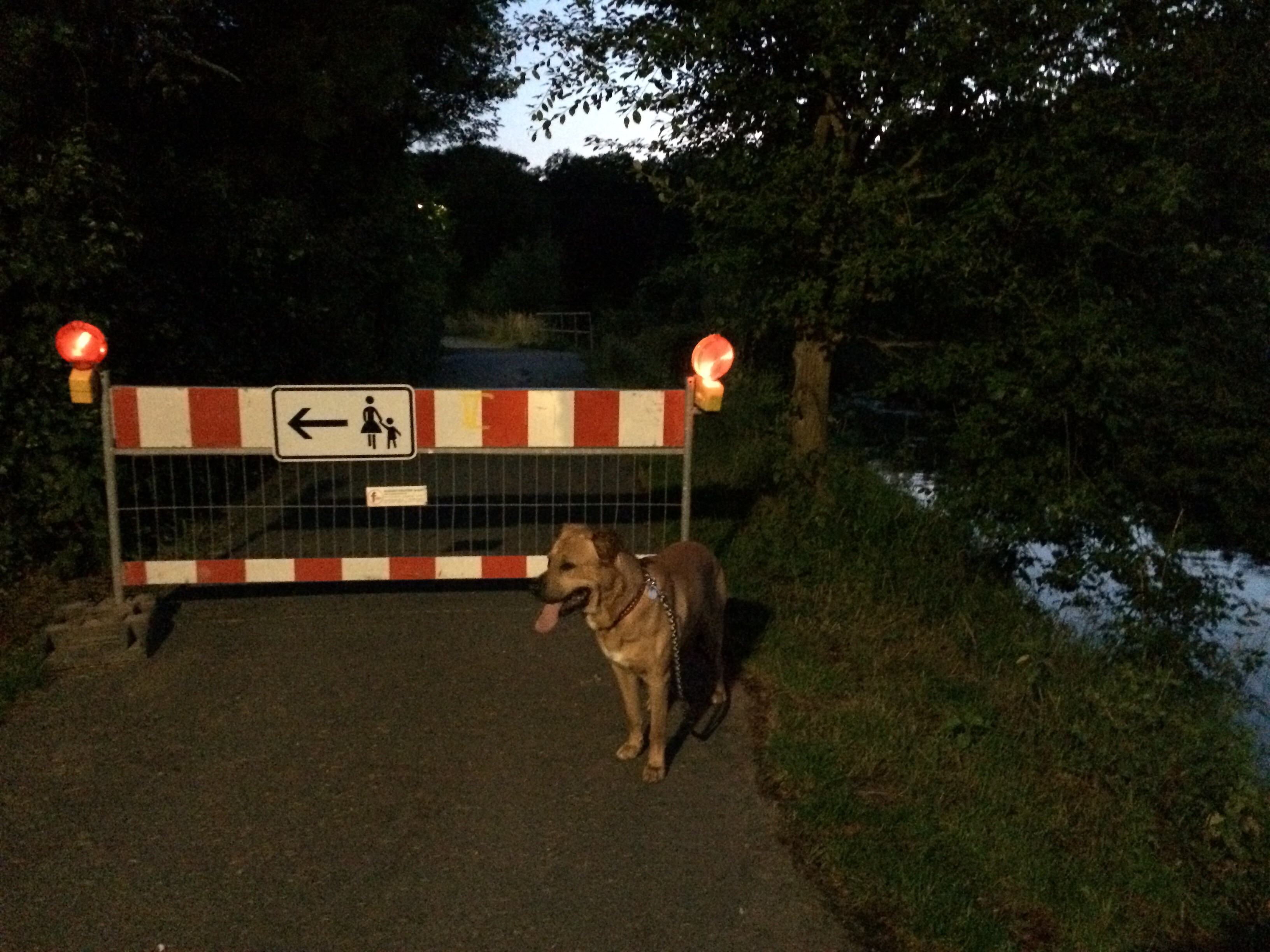 Schwarzbach-Zulauf Baustelle - Hund Samson