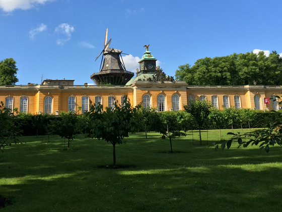 Historische Mühle - Schloss Sans Sanssouci - Potsdam