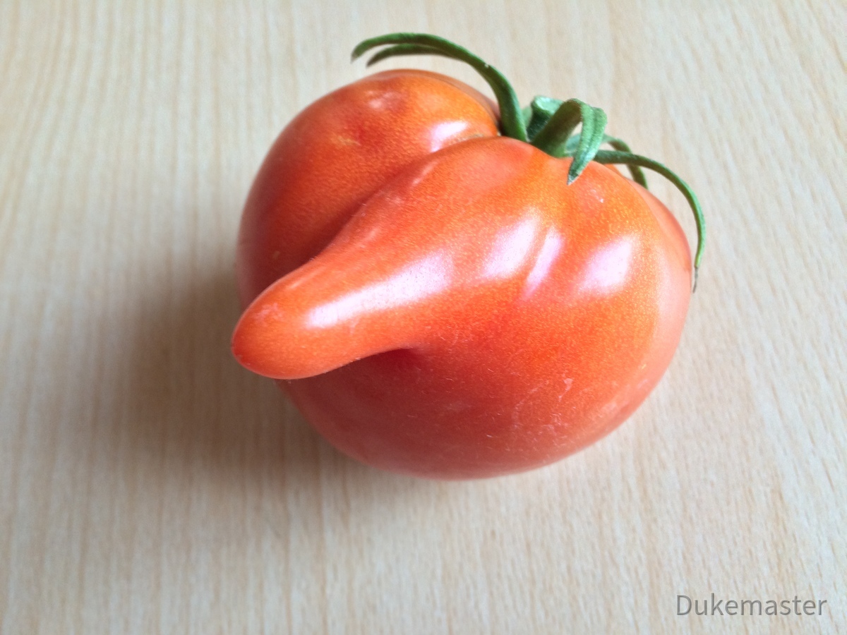 Dukemasters Tomato