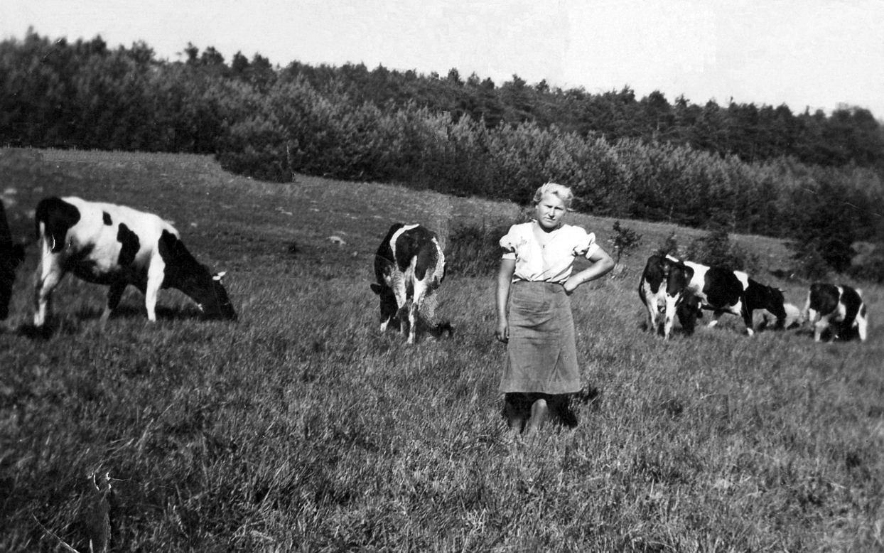 Meine Mutter Krystyna bei der Zwangsarbeit - II. Weltkrieg