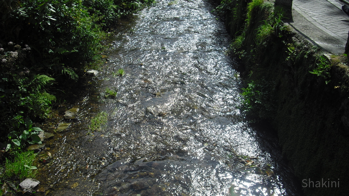 Fluss Pol in Polperro