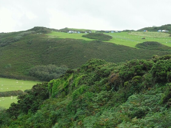 Wunderschöne grüne Landschaft - Wollacombe