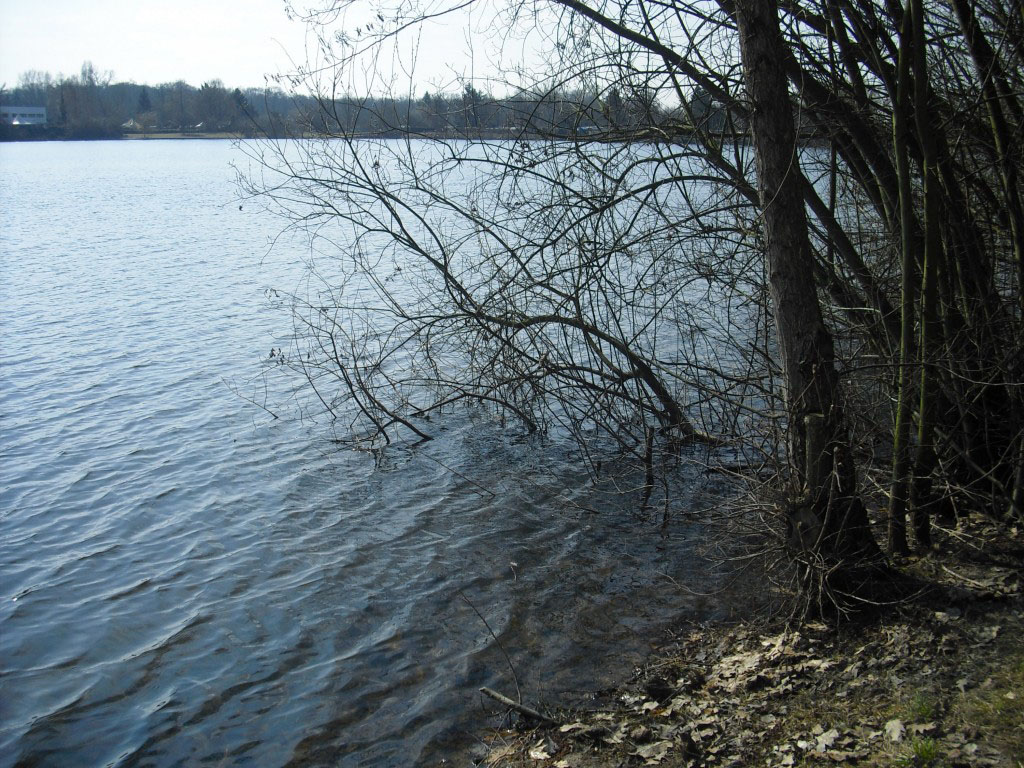 Hegbachsee Nauheim - Blick in Richtung Niederwaldsee Gross-Gerau
