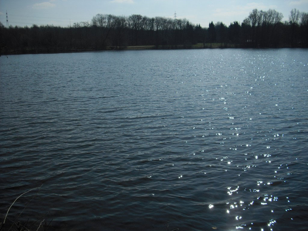 Hegbachsee Nauheim - Richtung Niederwaldsee Gross-Gerau