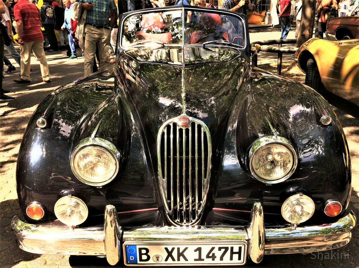 Jaguar Oldtimer