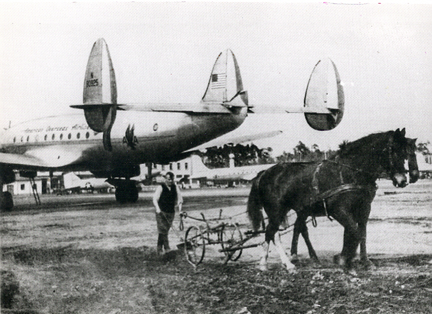 Frankfurt Flughafen – Pferdepflug auf Rollbahn – 1947 – Horse plow on runway