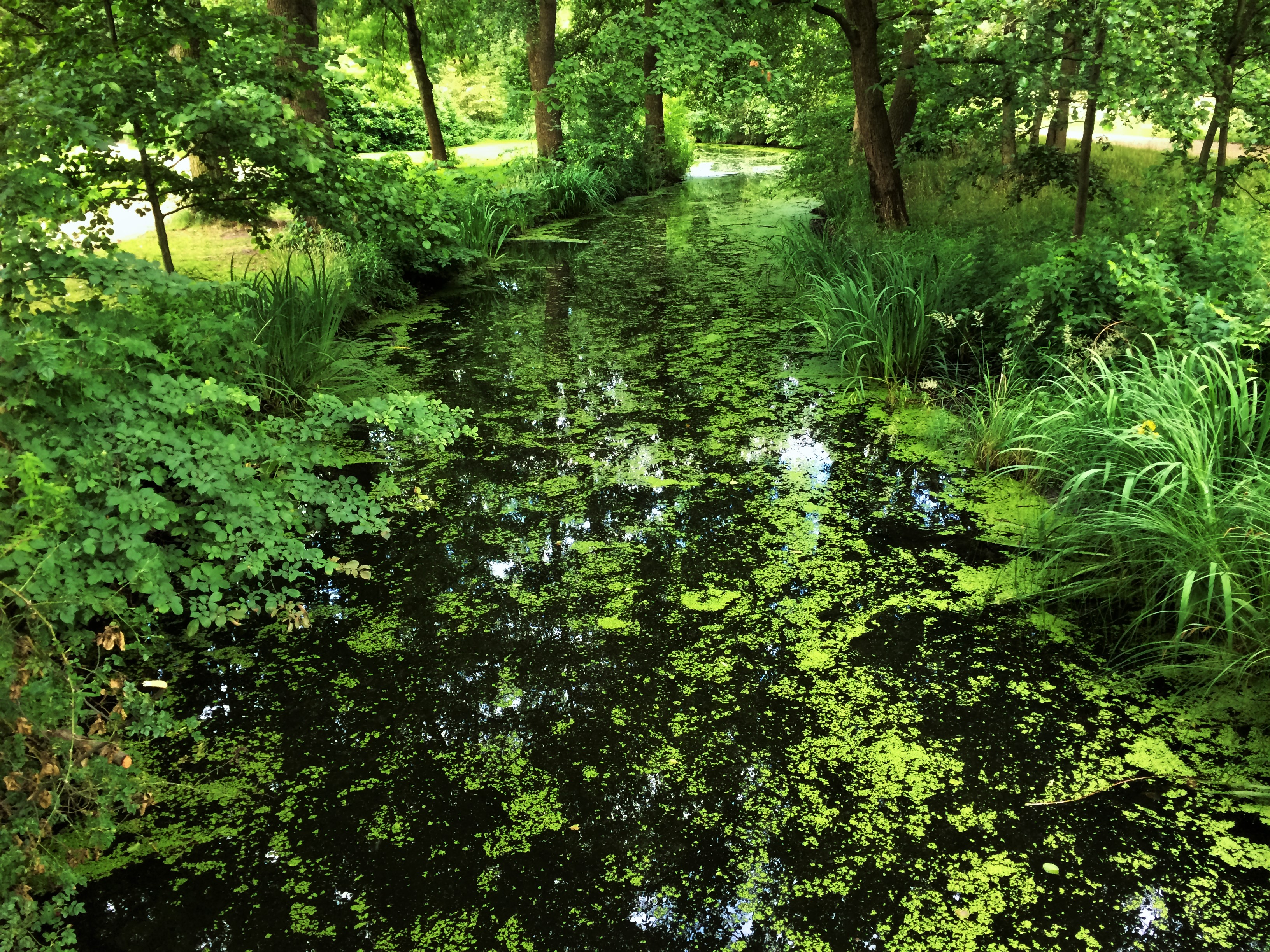 Teichgraben im Schlosspark Charlottenburg