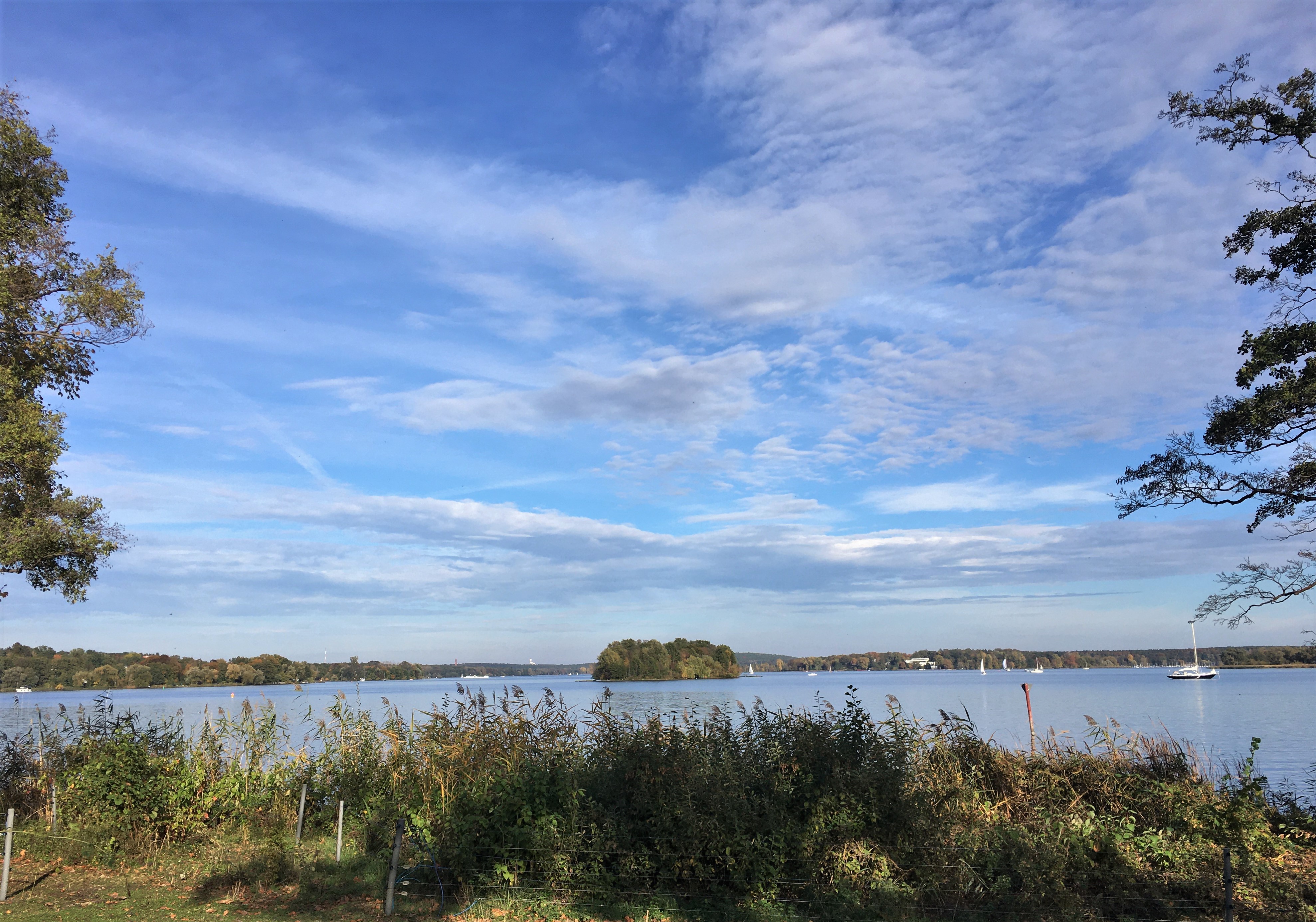 Blick von der Pfaueninsel auf die Havel