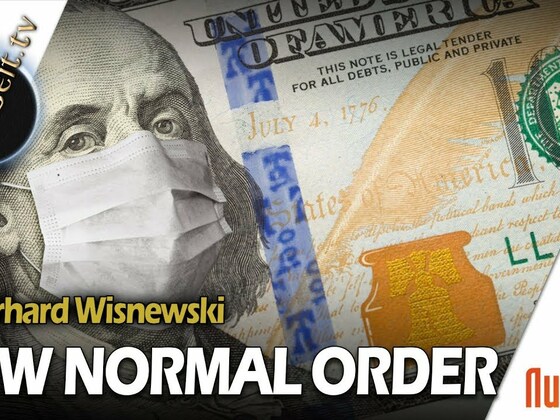 New Normal Order - Gerhard Wisnewski im NuoViso Talk