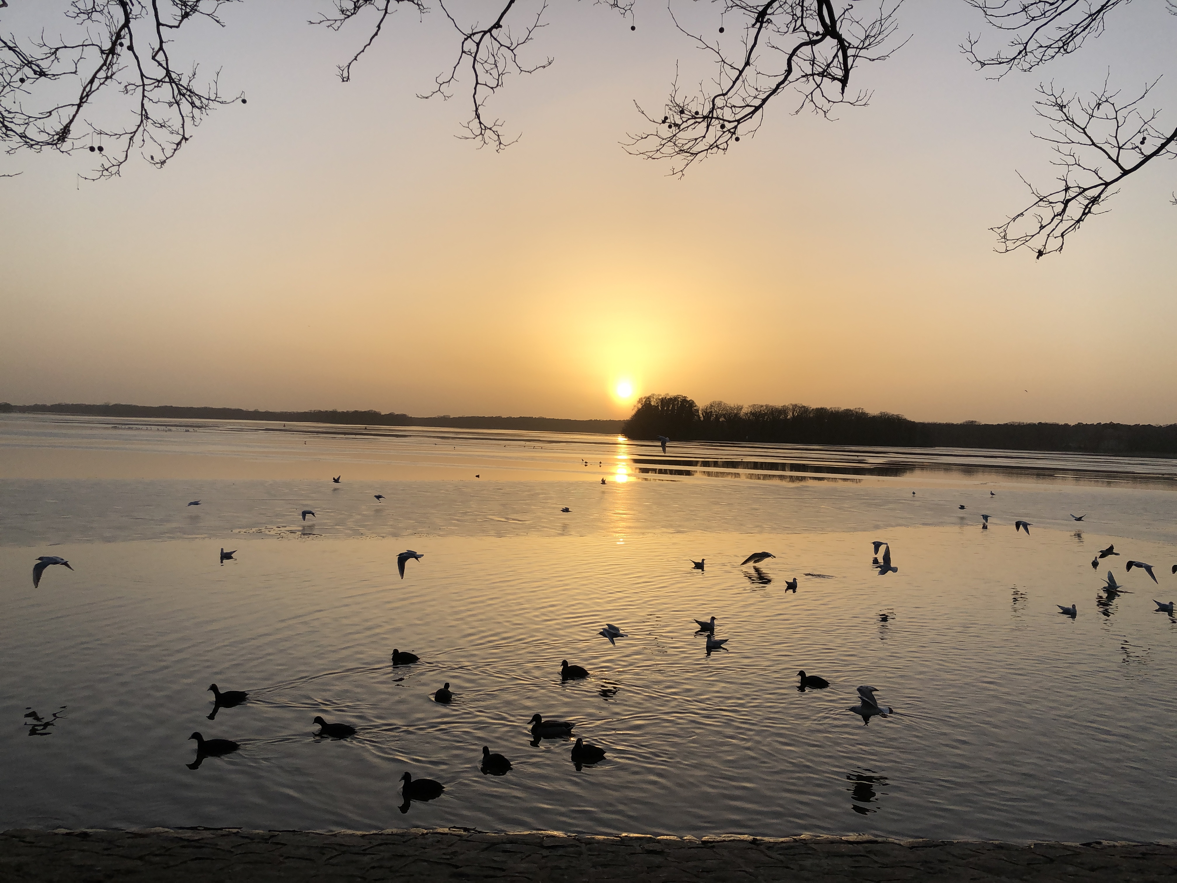 Wunderschöner Sonnenuntergang am Tegeler See