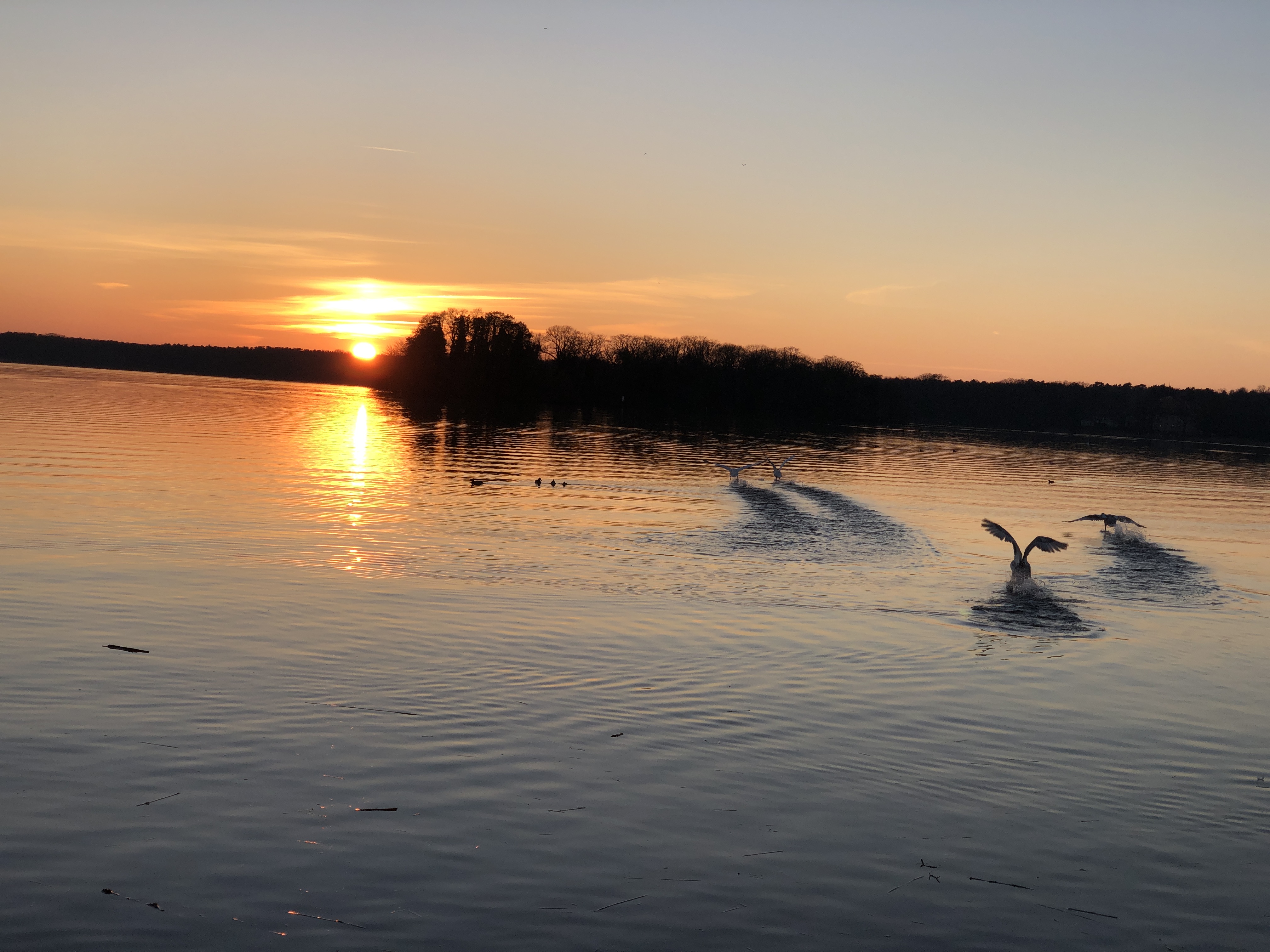 Sonnenuntergang Tegeler See