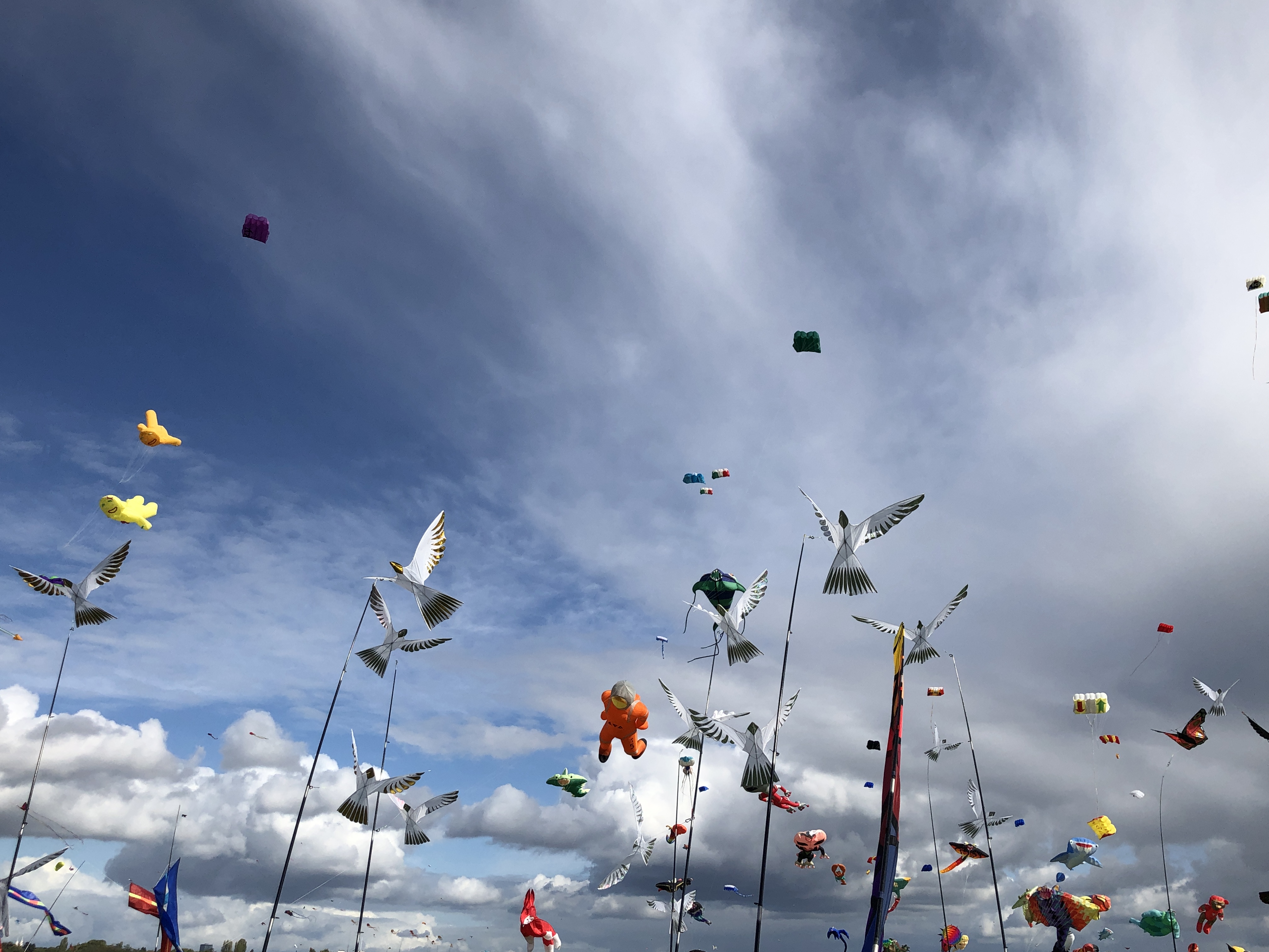 Riesendrachen Festival am Tempelhofer Feld - Berlin