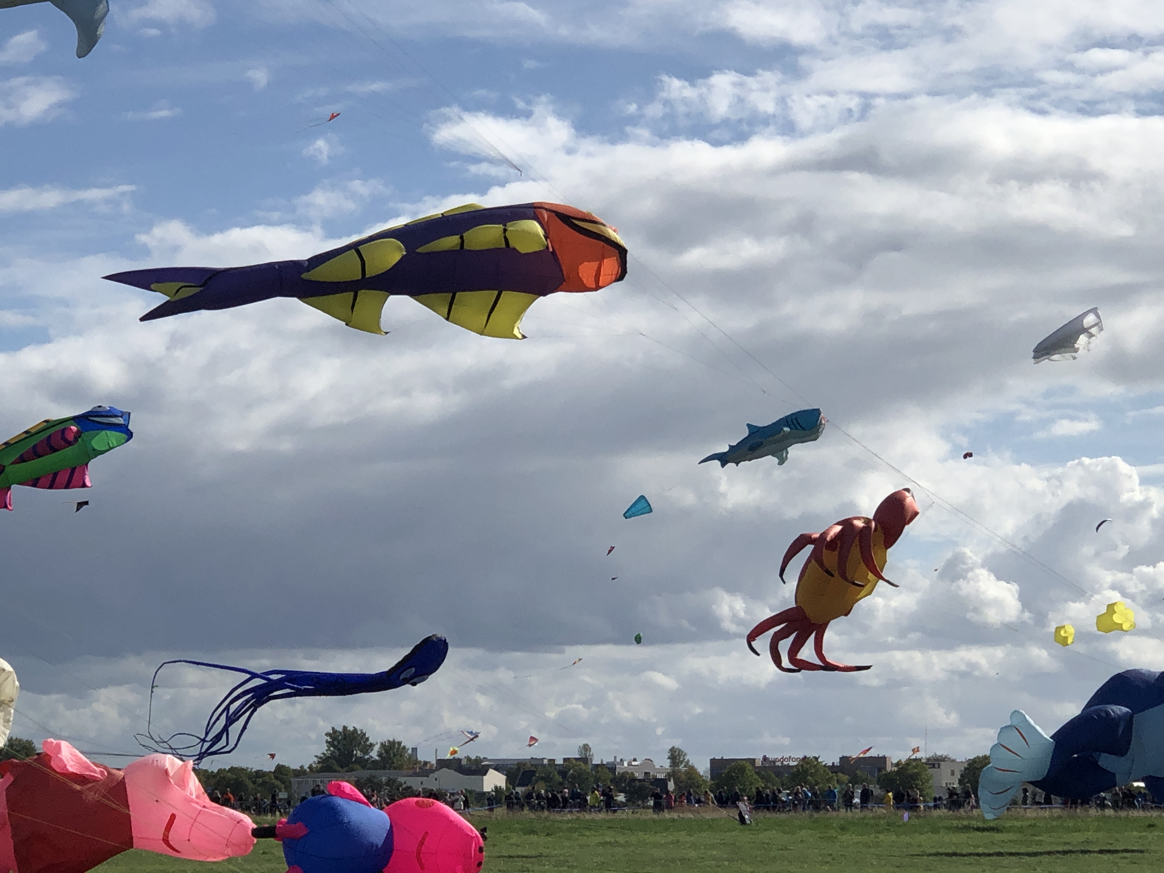 Riesendrachen Festival am Tempelhofer Feld - Berlin