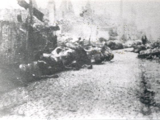 Rüsselsheim-Königstädten - Obergasse 13.8.1944 - Verwesende Tierkadaver