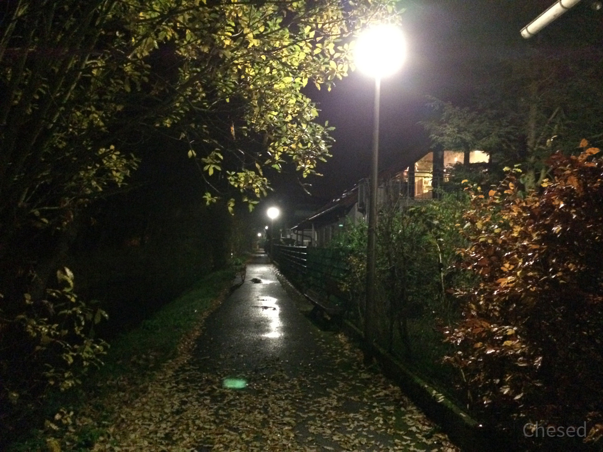 Herbstlichter - Nauheim - Autumn Lights - 2013 - Adolf-Menzel-Weg