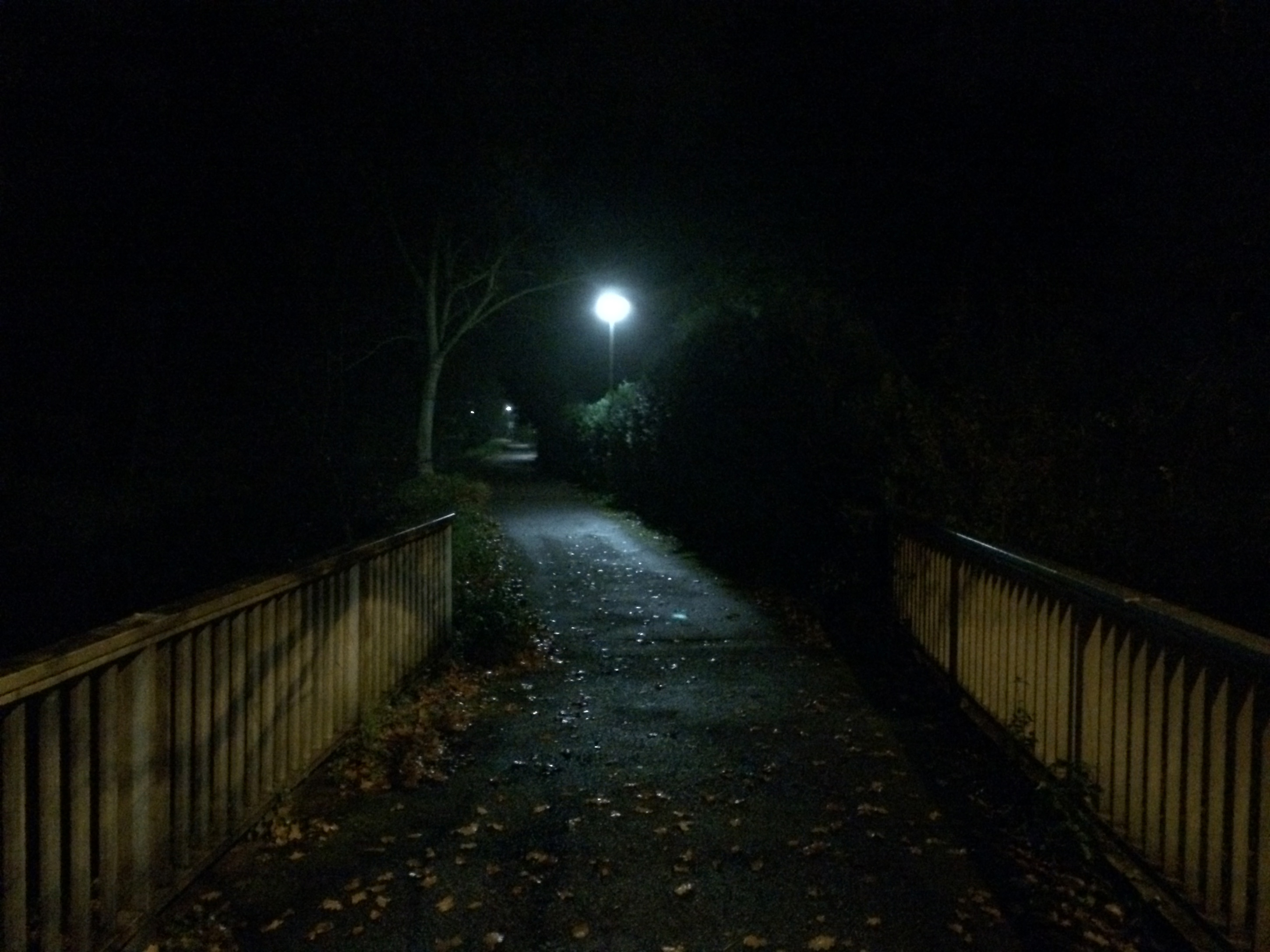 Herbstlichter - Nauheim - Autumn Lights - 2013 - Black Creek Bridge