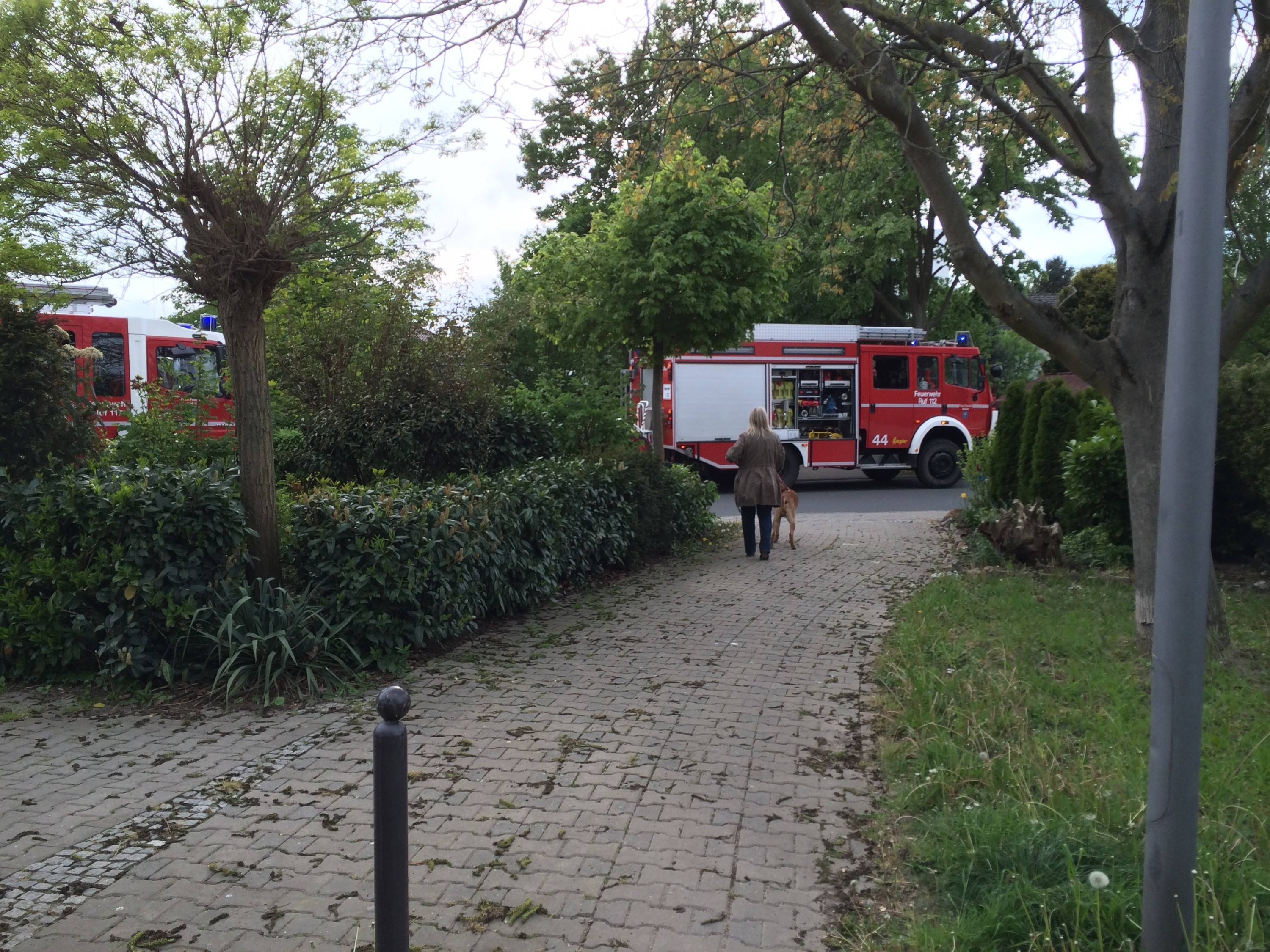 Feuerwehreinsatz - Nauheim - 2014 - Entenstraße - Am Riel