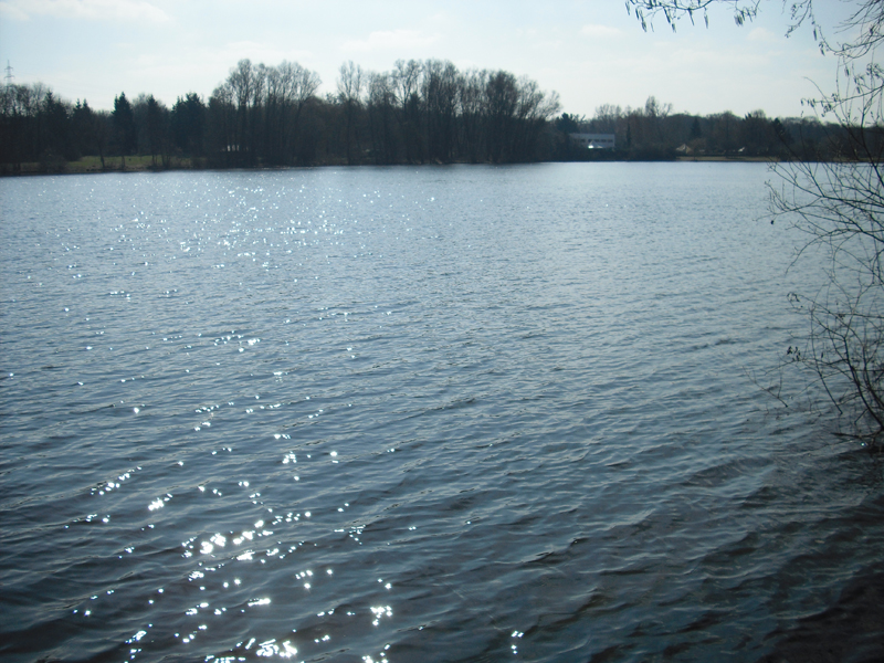 Hegbachsee Nauheim - Niederwaldsee Gross-Gerau - 2.April 2013