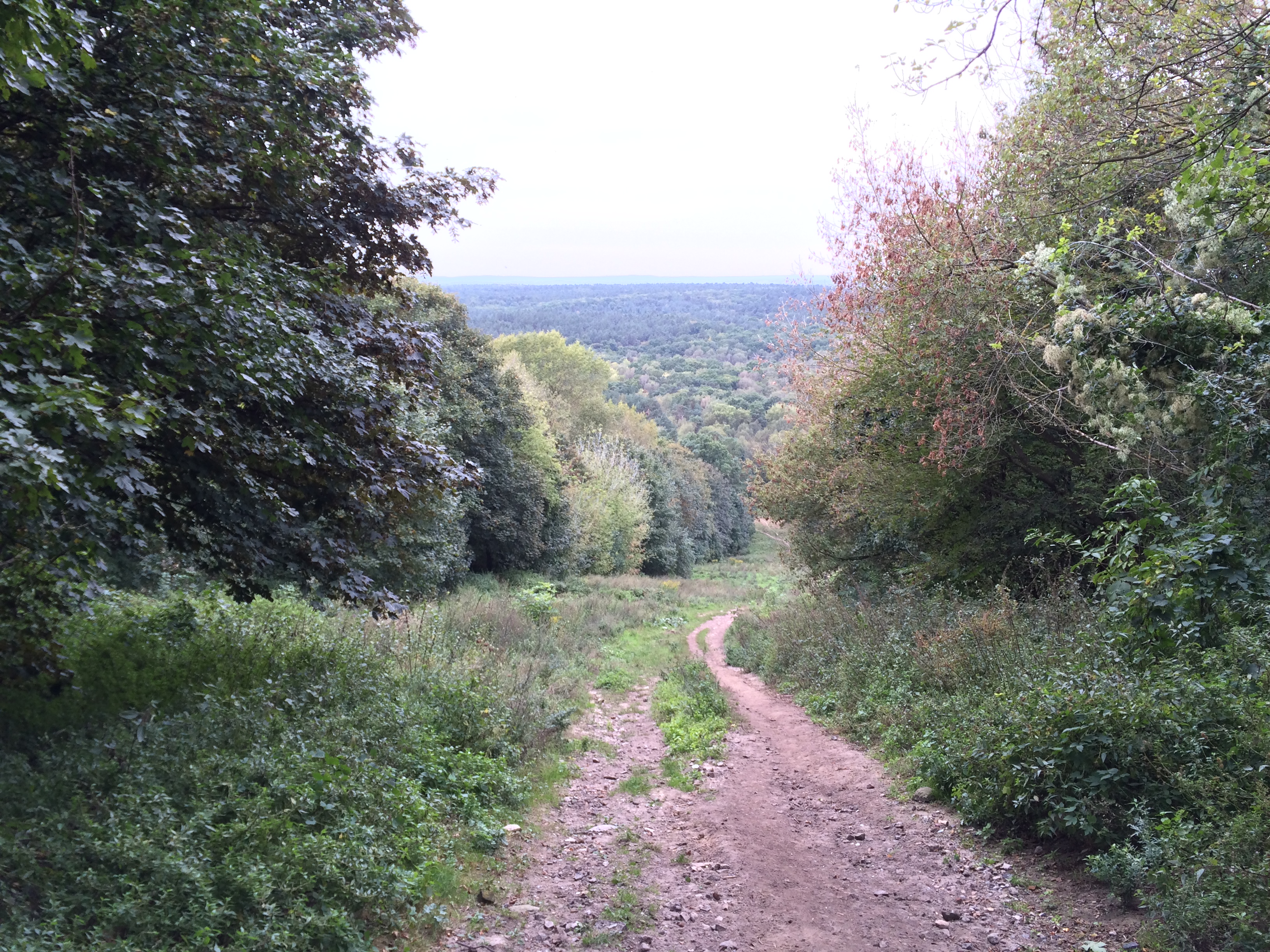 Berlin - Grunewald - Teufelsberg - Radarstation - Blick ins Tal und den Grunewald