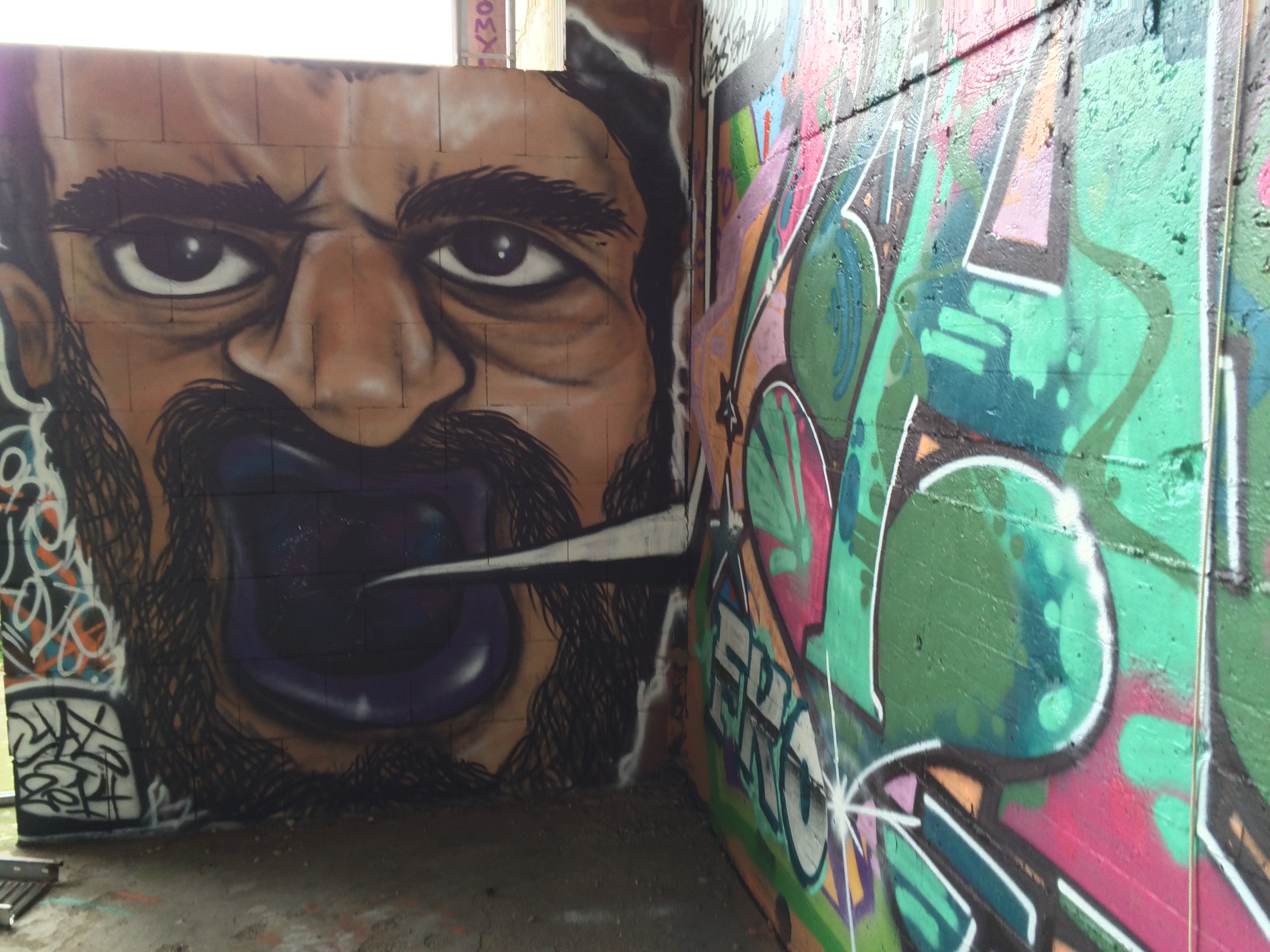 Berlin - Teufelsberg - Graffiti - Purple Mouth Man