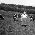 Meine Mutter Krystyna bei der Zwangsarbeit - II. Weltkrieg
