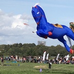 Riesendrachen Festival am Tempelhofer Feld - Berlin