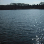 Hegbachsee Nauheim - Richtung Niederwaldsee Gross-Gerau