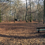 Volkspark Jungfernheide - Berlin-Spandau - 360° Panorama