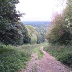 Berlin - Grunewald - Teufelsberg - Radarstation - Blick ins Tal und den Grunewald