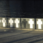 Symbolische Weiße Kreuze an der Spree -  gewidmet den Mauertoten