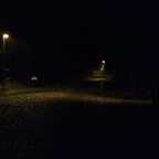 Herbstlichter - Königstädten - Autumn Lights - 2013 - Viehtrift - Wald