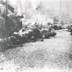 Rüsselsheim-Königstädten - Obergasse 13.8.1944 - Verwesende Tierkadaver