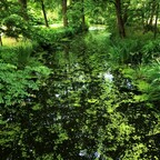 Teichgraben im Schlosspark Charlottenburg