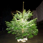 Duke's Weihnachtsbaum 2014