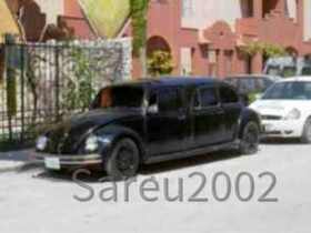 Doppel VW-Käfer Stretchlimousine - Helmut Salomon (Sareu2002) - Mexico