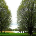 Frühlingserwachen im Britzer Garten