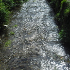 Fluss Pol in Polperro