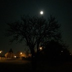 Vollmond im Feld von Königstädten