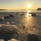 Icy Winter Sun - Tegeler See - Berlin - Germany