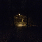 Herbstlichter - Königstädten - Autumn Lights - 2013 - Viehtrift - Wald 8