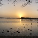 Wunderschöner Sonnenuntergang am Tegeler See