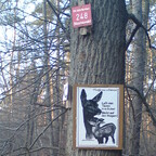 Tierschutz-Schild im Wald - Helft uns schützen