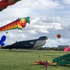 Riesendrachen Festival am Tempelhofer Feld - Berlin