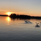 Sonnenuntergang Tegeler See