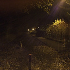 Herbstlichter - Königstädten - Autumn Lights - 2013 - Viehtrift - Samson