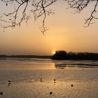 Wunderschöner Sonnenuntergang am Tegeler See